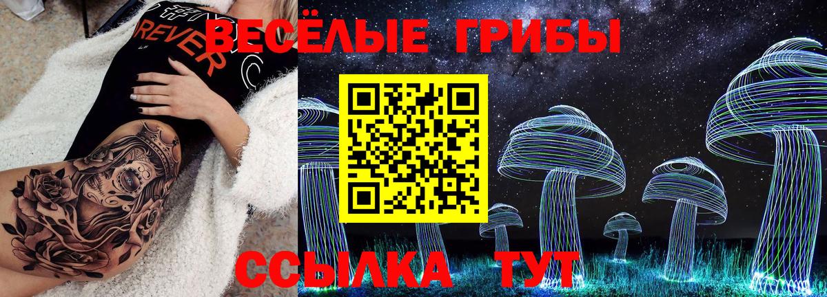 Кимовск  Галлюциногенные грибы Psilocybe  Вход с VPN 