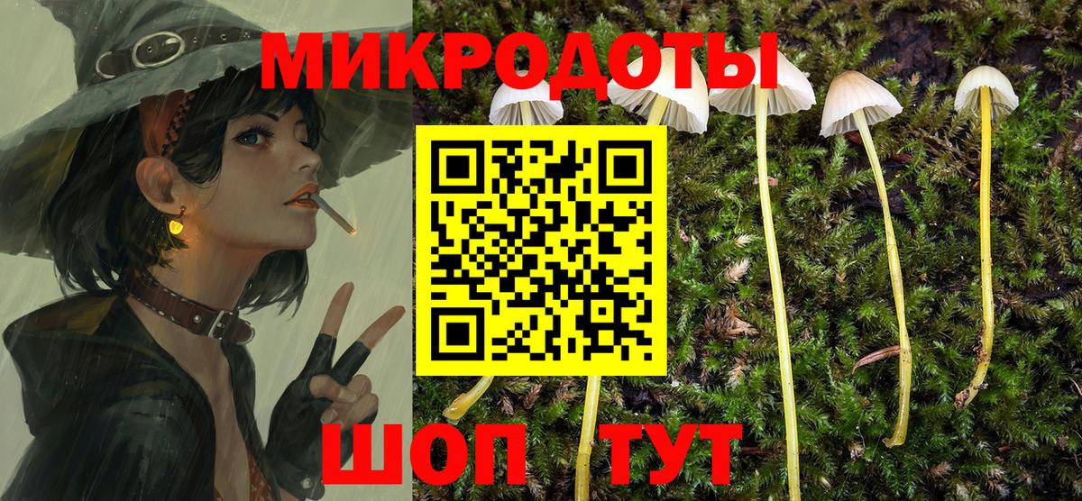 Псилоцибиновые грибы мухоморы Кимовск